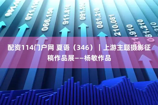 配资114门户网 夏语（346）｜上游主题摄影征稿作品展——杨敏作品