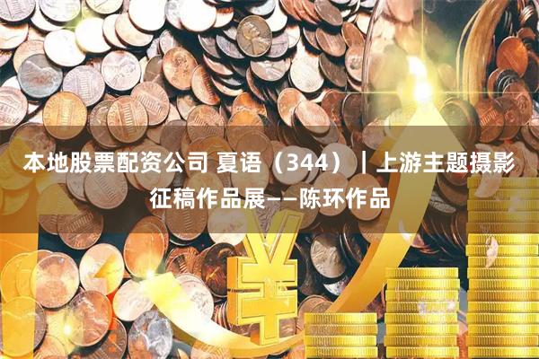 本地股票配资公司 夏语（344）｜上游主题摄影征稿作品展——陈环作品